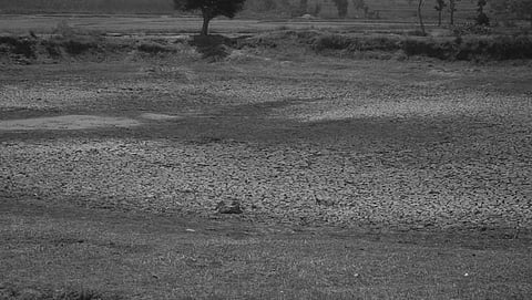 A dry pond in Kotpad | Express