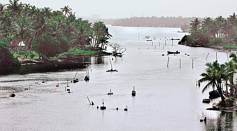 A view of Kadinamkulam backwater at Perumathur B P Deepu