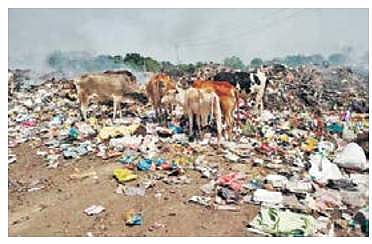 Image for representational purpose only