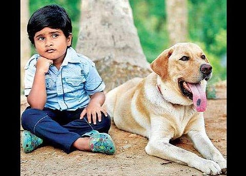 Not your average dog film