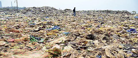 Image used for representational purposes only (File photo)