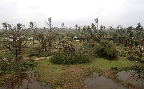 Trees lie uprooted after Cyclone Fani made landfall in the area | AP