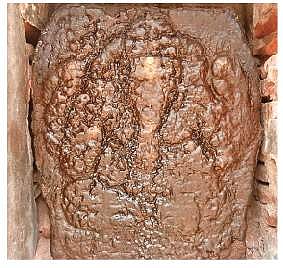 The Lagulesar and Kathir Pillaiyar sculptures that were found by a team of archaeologists from the Salem Historical Research Centre, in Pasubatheswarar temple at Varanjaram near Chinnasalem (Photo| EPS)