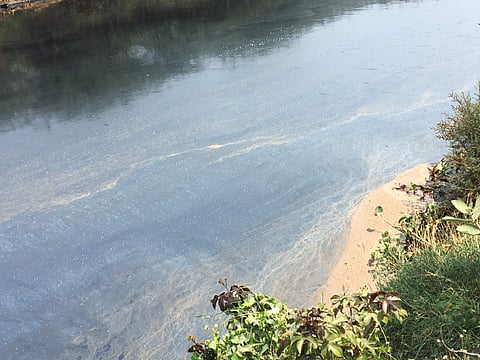 Buckingham Canal carrying the chemical discharge near Kaattukuppam. (Photo | EPS)