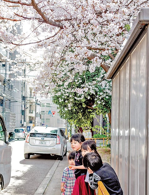 Photo by Takafumi Yamashita on Unsplash