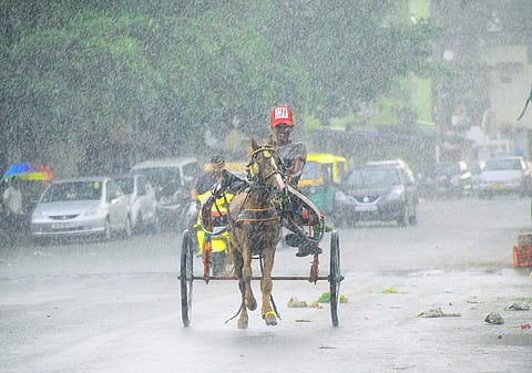 While rain spoilt the Friday plans of many residents, a boy enjoys a tonga ride in Fraser Town. (Photo | B Pandarinath, EPS)