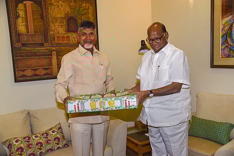 Chief Minister of Andhra Pradesh and Telugu Desam Party President N. Chandrababu Naidu meets NCP President Sharad Pawar in New Delhi Saturday May 18 2019. | PTI