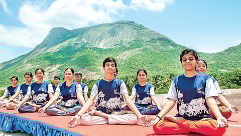 The Nectar of Wisdom