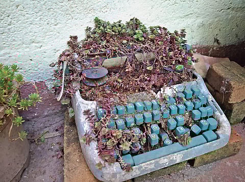 This summer bring Zen in your urban gardens