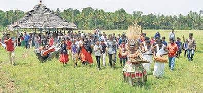 The Kadamban Moothan, a cultural icon, taking the students to the field, initiating them to the different aspects of farming through an organic theatre structured by WIWA   B P Deepu