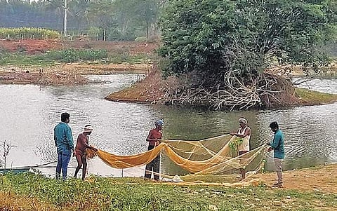 Almost 300 tonnes of garbage has been removed from the lake bed and sent to the waste plant in Doddaballapur