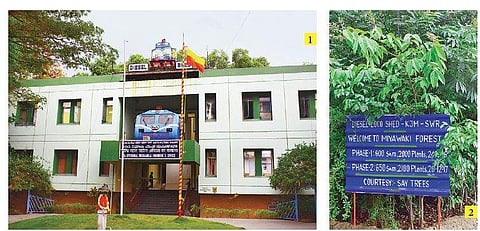 1. The 1,250 sqm of space in the diesel loco shed in Krishnarajapuram in Bengaluru is home to 4,100 trees; 2. A board showing the way to the Miyawaki forest; 3,4 The Miyawaki forest | pandarinath B