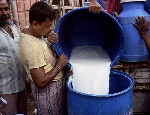 Image of milk vendors used for representational purpose (File Photo | PTI)