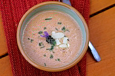 Greek yoghurt vs desi dahi