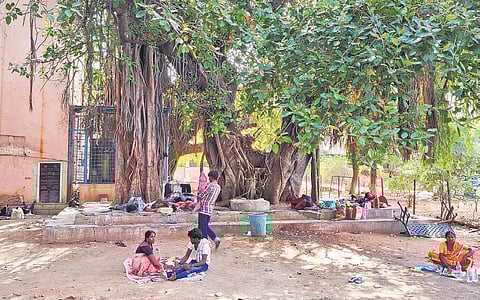 Attendants of patients rest under a banyan tree at Niloufer Hospital in Hyderabad on Tuesday | Express