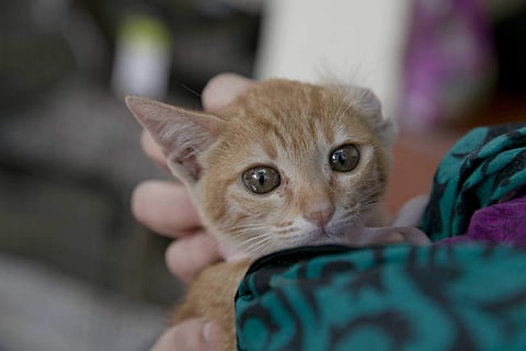 Image used for representational purpose only (File | EPS)