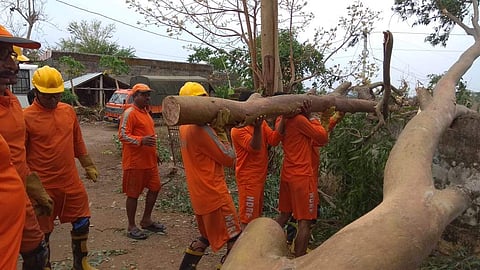 NDRF personnel clear uprooted trees in Srikakulam. (Photo | EPS)