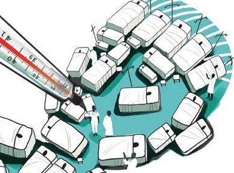 250 chikungunya cases reported in Tamil Nadu until April