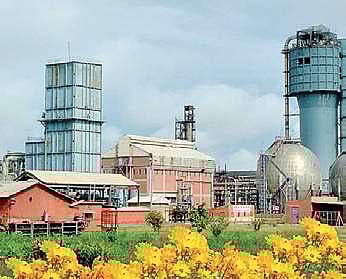 In the case of NFL, the government plans to bring down its stake by 20 per cent.