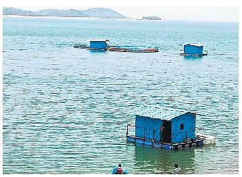 Image used for representational purpose only. (Photo | EPS)