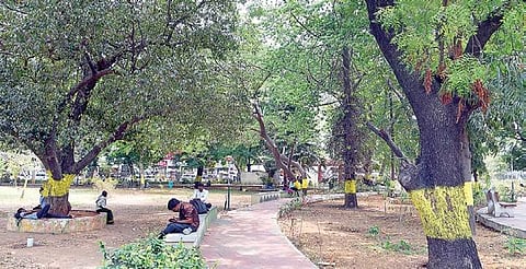 Panagal and Natesan parks saved from Metro Rail phase-2 construction