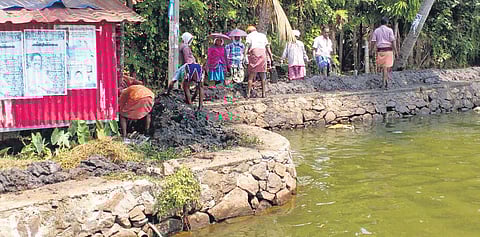 Employees under the National Rural Employment Guarantee Scheme strengthening the outer bund to prevent water from the Pampa entering the area at Kainakari in Kuttanad. In the mid-August flood, the bund had breached and the water level was 4 ft above the b