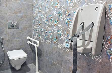 A Pink Toilet with baby seat facility | MK Ashok Kumar