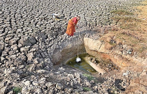 A woman drawing water for her livestock from a small well inside the dry Korattur lake; (below) two men looking for  fish in the near-dry Thiruneermalai lake, which has been affected severely by pollution | Martin Louis