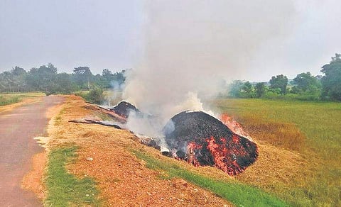 A heap of paddy straws burning in Jeypore. (Photo | EPS)