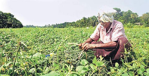 Banks have also been told to explain reasons for such a mix-up in over 13,000 bank accounts in Yadgir district in Hyderabad-Karnataka region | Express