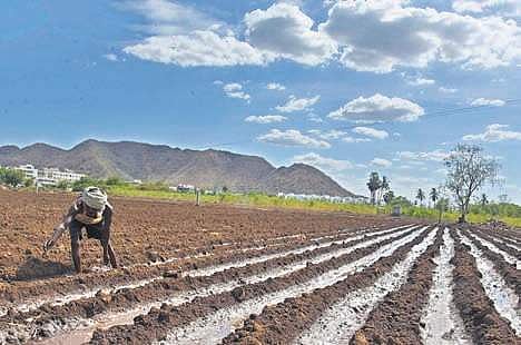 A farmer prepares his land for farming ahead of the Monsoon at Undavalli near Vijayawada on Wednesday. (Photo | P Ravindra Babu, EPS)