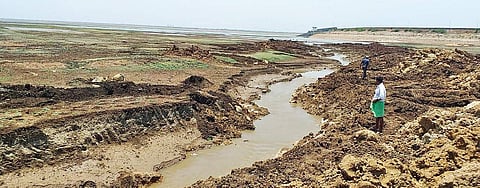 A man looks at the little water remaining in the Manjeera dam. All five breweries in Telangana depend on the Manjeera for their water supply | Express