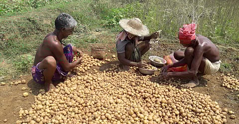 For representational purposes (File Photo | EPS)