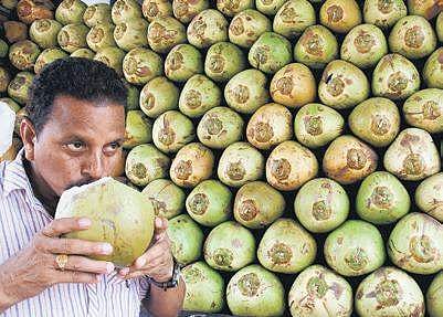 Maddur coconuts a hot seller in north India 