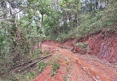 Thousands of trees axed near Bhadra Tiger Reserve