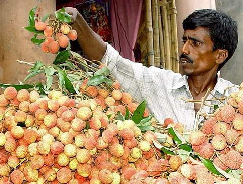 Image of lychee fruits used for representational purpose only (File Photo | AFP)