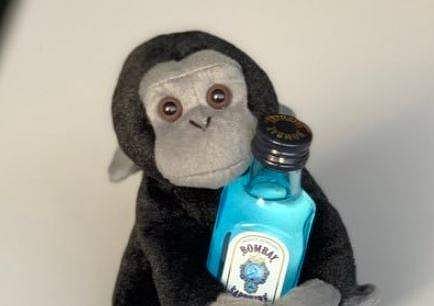 While some users are enjoying Musk's quirky Twitter sense, some asked him to stop being frivolous on the micro-blogging site.