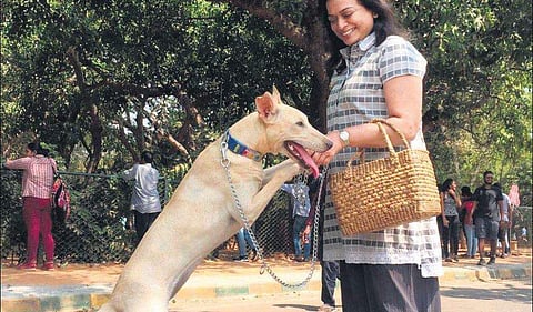 Serena Parkin Williams lording it with her mom Vatsu at  the same park she was abandoned over six months ago