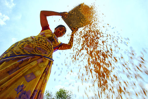 For representational purposes (File Photo| K K Sundar/EPS)