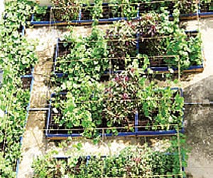 For representational purposes  (File Photo| EPS)