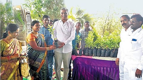 Siddipet MLA Harish Rao distributes saplings to guests at the wedding of his aide’s daughter, in Sangareddy. (Photo | EPS)