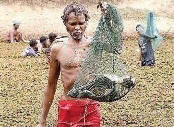 A farmer of Kattur village in Tiruvallur  district with his ‘catch’. (Photo | Nigamanth P, EPS)