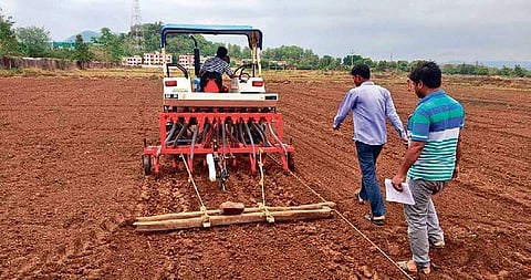 Paddy seeds being sown using drill machine at the research field in  Bhawanipatna.