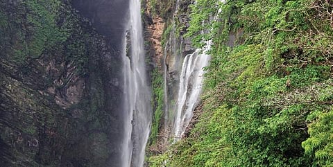 A file picture of Jog Falls where Sharavathi river takes a plunge near Kargal in Shivamogga district. The famous waterfall is located close to Linganamakki dam | Express
