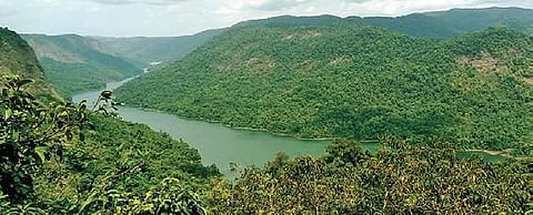 A view of the Sharavati river valley | Express