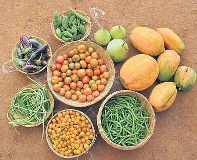 The produce at Polam, a permaculture farm in Sangareddy district