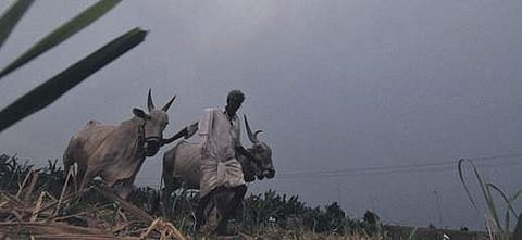 Representational image