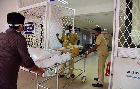 Kerala student confirmed to have Nipah; four, including two nurses with fever, isolated