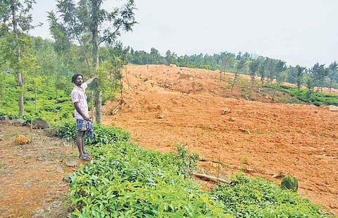 Prabhudev, a resident at Kurchermala in Wayanad, showing the area hit by landslide last year | Manu R Mavelil