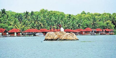 A lush expanse where sea meets the backwaters